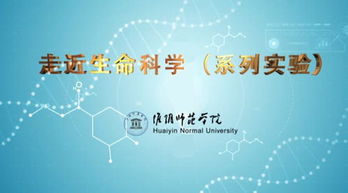 淮陰師范學(xué)院 以精品在線開(kāi)放課程賦能社會(huì)經(jīng)濟(jì)咨詢(xún)服務(wù)大眾化