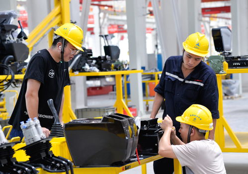 絲路之弦，江潮之韻 一帶一路與長(zhǎng)江經(jīng)濟(jì)帶的社會(huì)經(jīng)濟(jì)咨詢(xún)交響曲